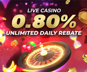 Casino 0.8% Unlimited Daily Rebate